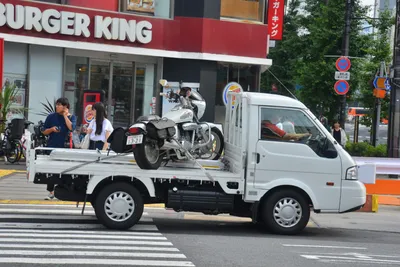 DSC_3452 (Large).JPG